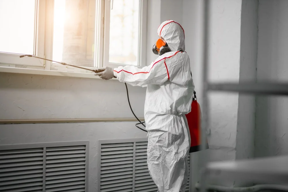 Professional mold remediation services in De Graff, OH